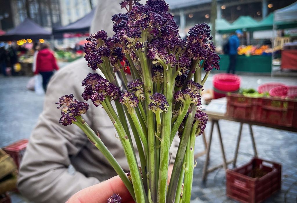 producteurs producteurices origines rennes 1